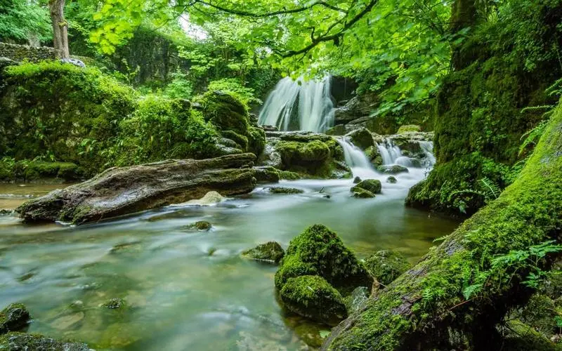 高端智慧